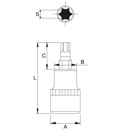 JTC Бита-головка 3/8" TORX T30х48 мм 