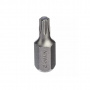 GARWIN PRO Бита, с шестигранным хвостовиком, 10 мм, T27, 30 мм, 1 шт