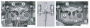 Licota Съёмник форсунок BMW N20, N55